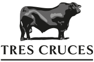 Tres Cruces Tres Cruces